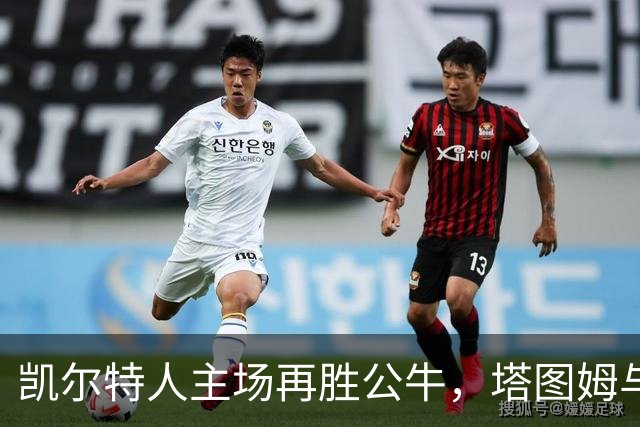 凯尔特人主场再胜公牛，塔图姆与普里查德携手演绎精彩之战
